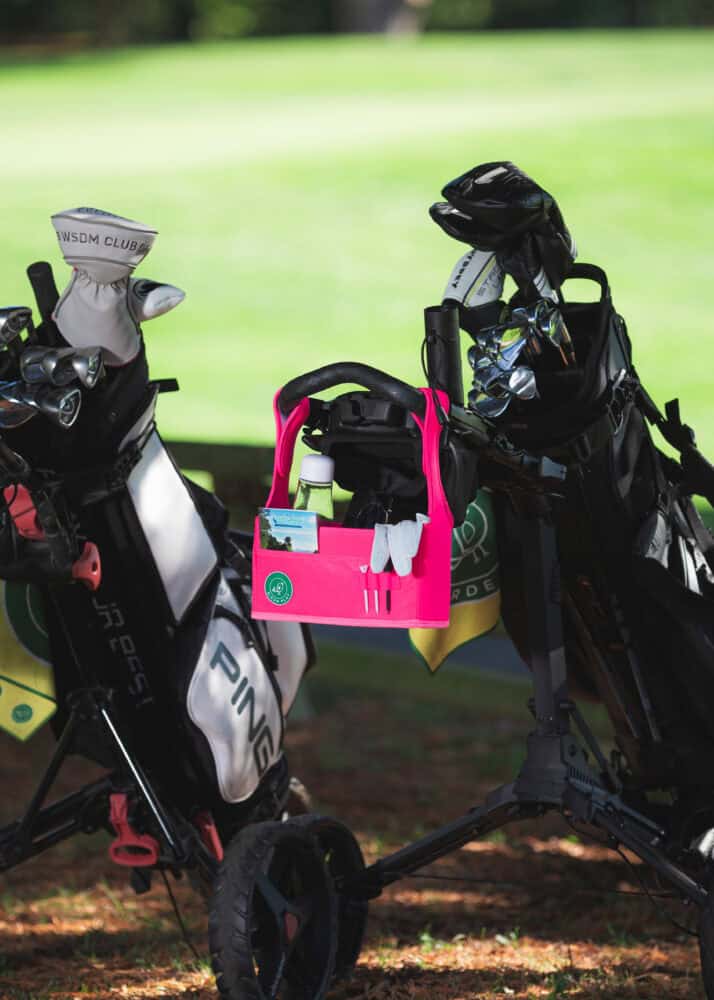 KEMY - Organiseur pour chariot de golf BirdeBag rose