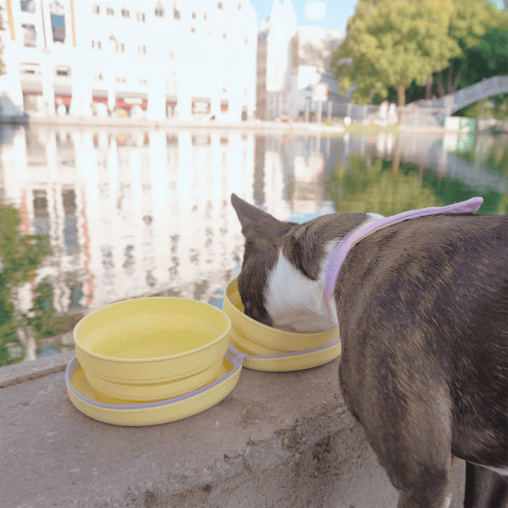 Kemy - Gamelle double de voyage jaune chien et chat