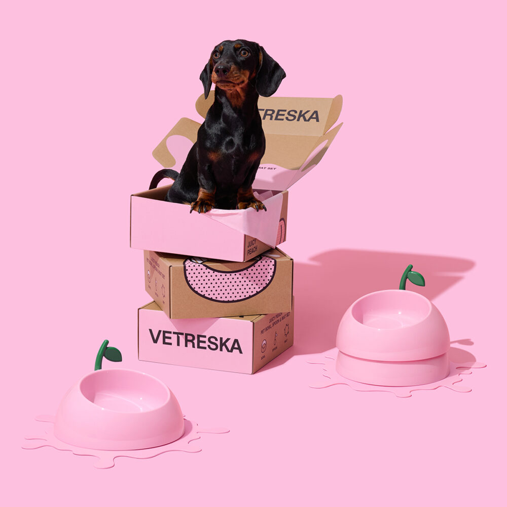 Vetreska - Mangeoire Juicy Peach, set pour chien avec set et cuillère